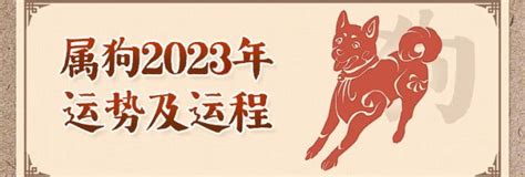 生肖狗運勢|属狗2024年运程及运势详解 2024年属狗人全年每月运。